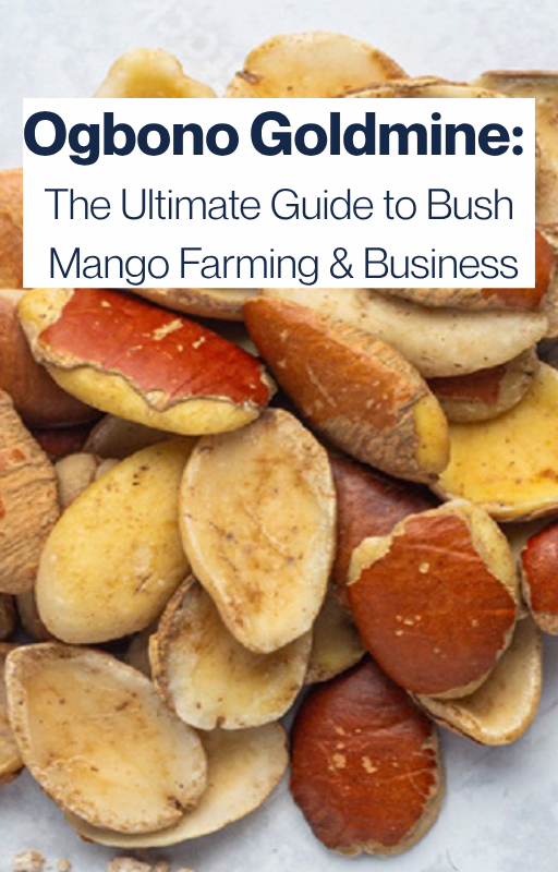 Ogbono farming Business Ebook