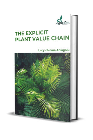 The explicit Plant chain