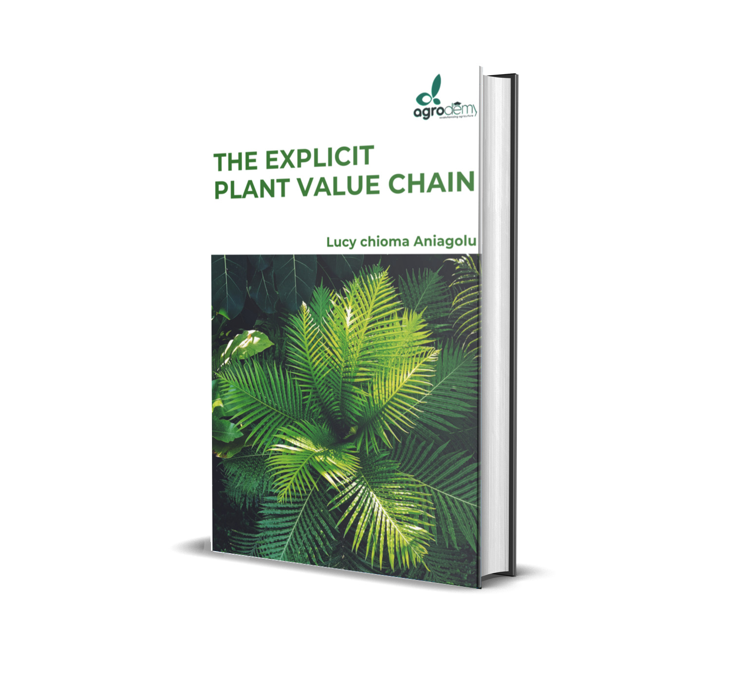 The explicit Plant chain