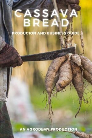 Cassava Bread business production guide
