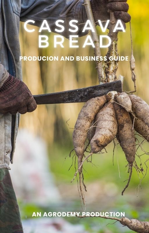 Cassava Bread business production guide
