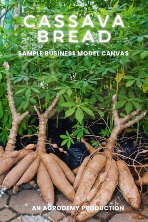 Cassava bread Business model Canvas