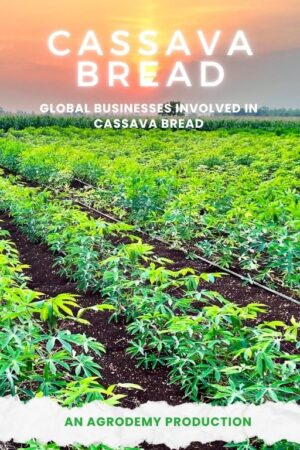 Cassava Bread Production Businesses in Global & Africa