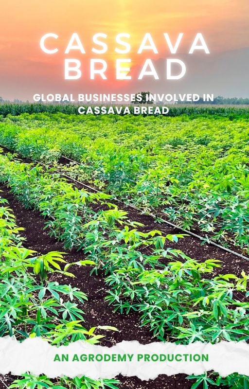 Cassava Bread Production Businesses in Global & Africa