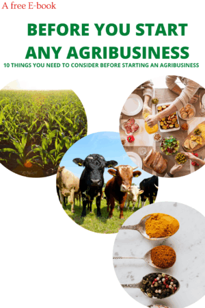 Before any agribusiness