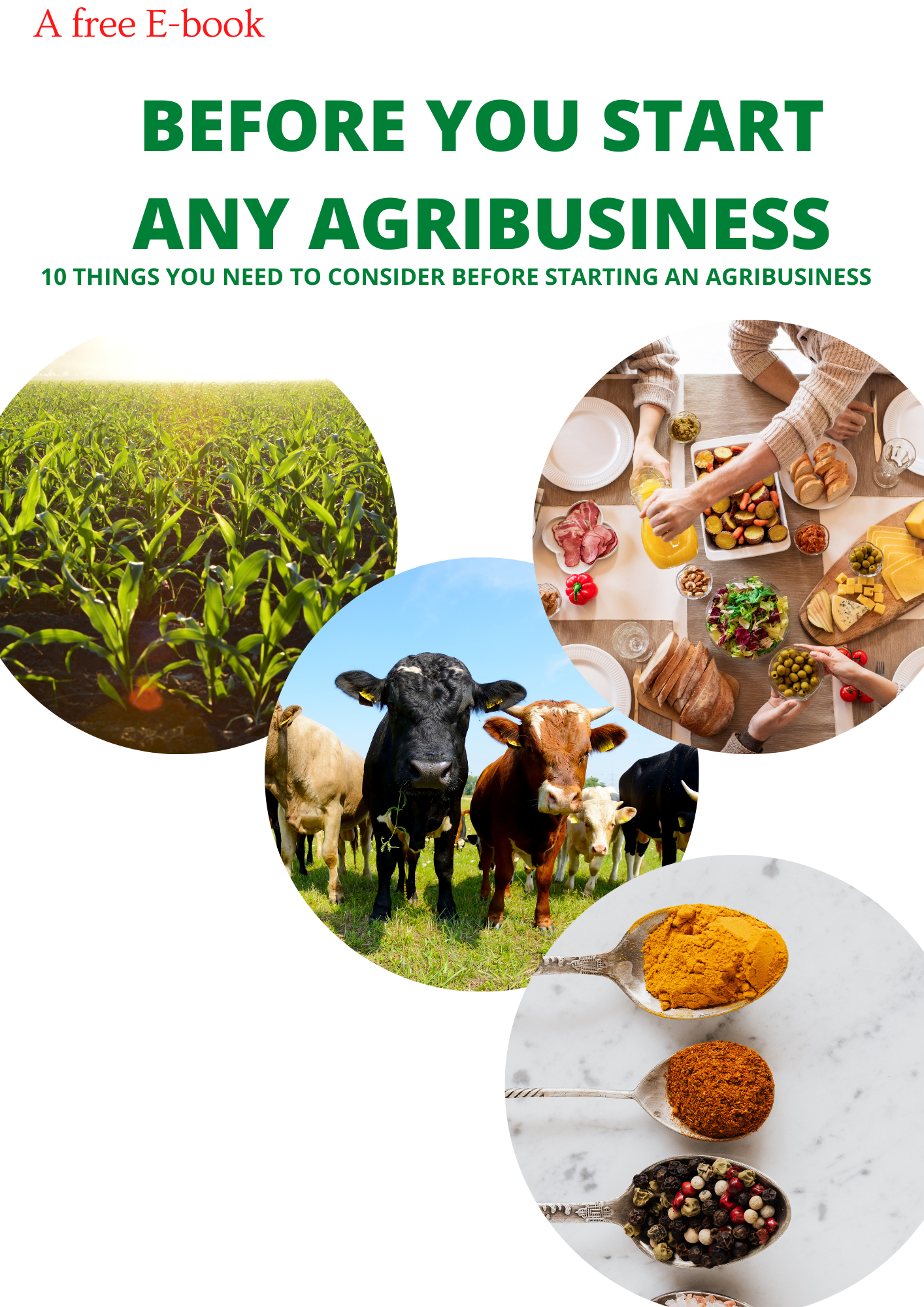 Before any agribusiness