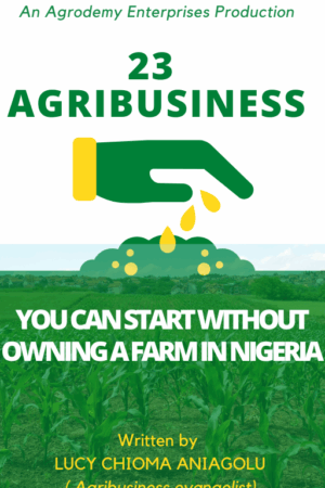 Agribusiness beyond farming