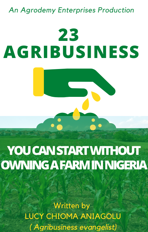 Agribusiness beyond farming